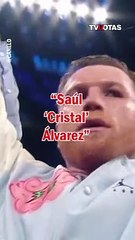 Saúl 'Canelo' Álvarez habría sido apodado de diferentes formas por internautas
