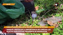 Dengue: destacan la importancia de limpiar las piletas para evitar criaderos de mosquitos