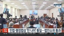 민법·행정법상 '만 나이' 통일…법안소위 통과