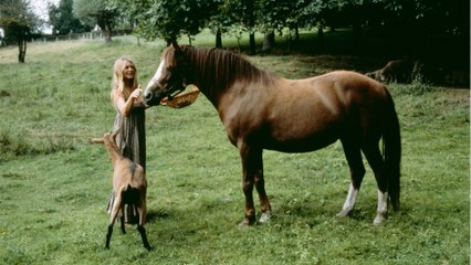 GALA VIDÉO – “J’ai honte” : Brigitte Bardot en colère, elle interpelle un ministre !