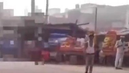 सभंल:सड़क किनारे पड़े गोवंशीय पशु के शव को नोंच रहे आवारा कुत्ते