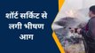 हमीरपुर: शॉर्ट सर्किट से लगी आग ने छीना गौवंशो का निवाला, दिखा तबाही का मंजर