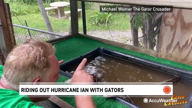 Riding out Hurricane Ian with gators