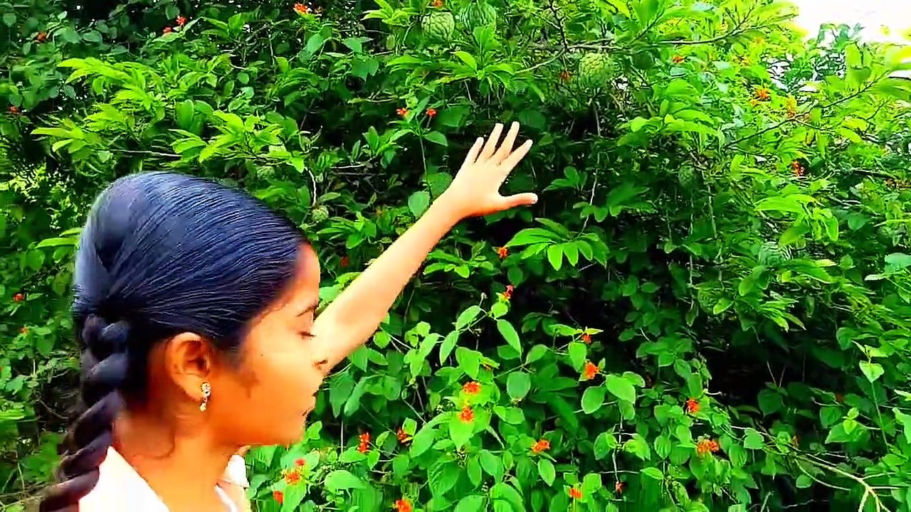Information About Health Benefits Of Custard Apple In English @kuberclasses_HD
