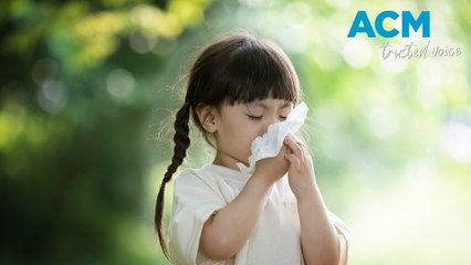 Hayfever: The rise of non-seasonal allergies