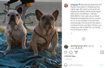 21 años de cárcel para el secuestrador de los perros de Lady Gaga