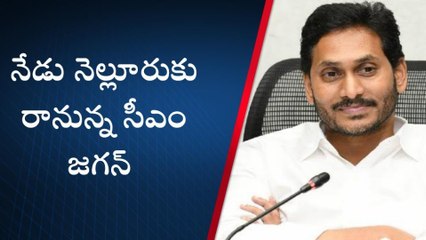 నెల్లూరు జిల్లా: నేడు నగరానికి సీఎం జగన్... పోలీసు బందోబస్తు చూస్తే కళ్లు తిరగాల్సిందే