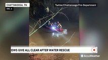 Rescuers save dogs from rising water in Tennessee