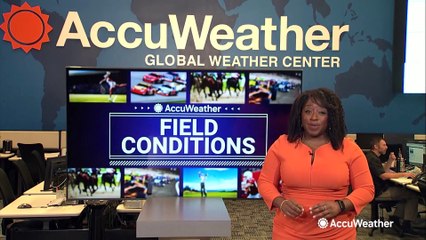 Your forecast for this week's high-stakes football showdowns