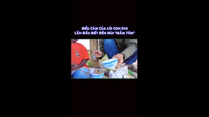 Lôi Con Ngạc Nhiên Khi Thử Mắm Tôm Việt Nam 🇻🇳