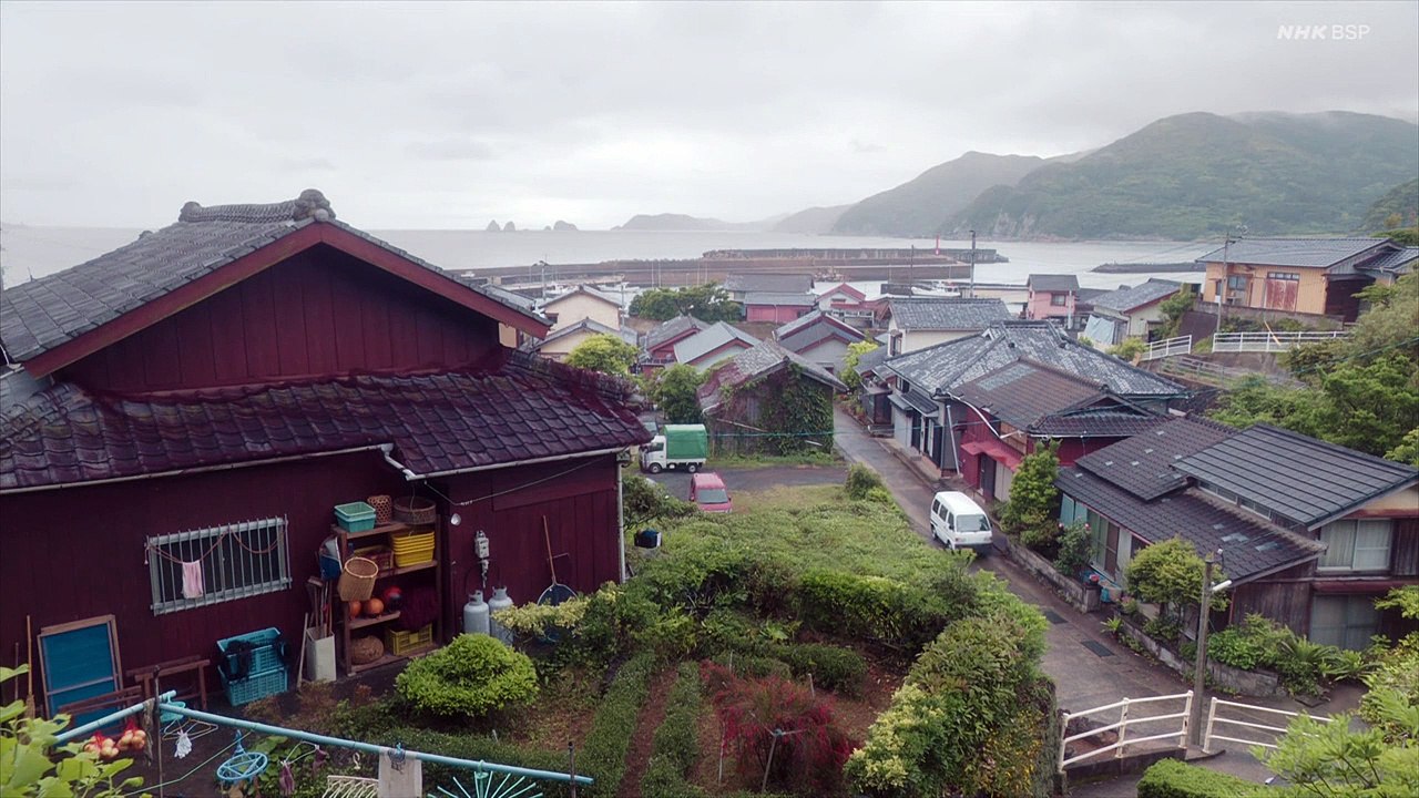 sf3NV5QjdK