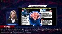 Elon Musk's Neuralink 'botched experiments' revealed by former employee and