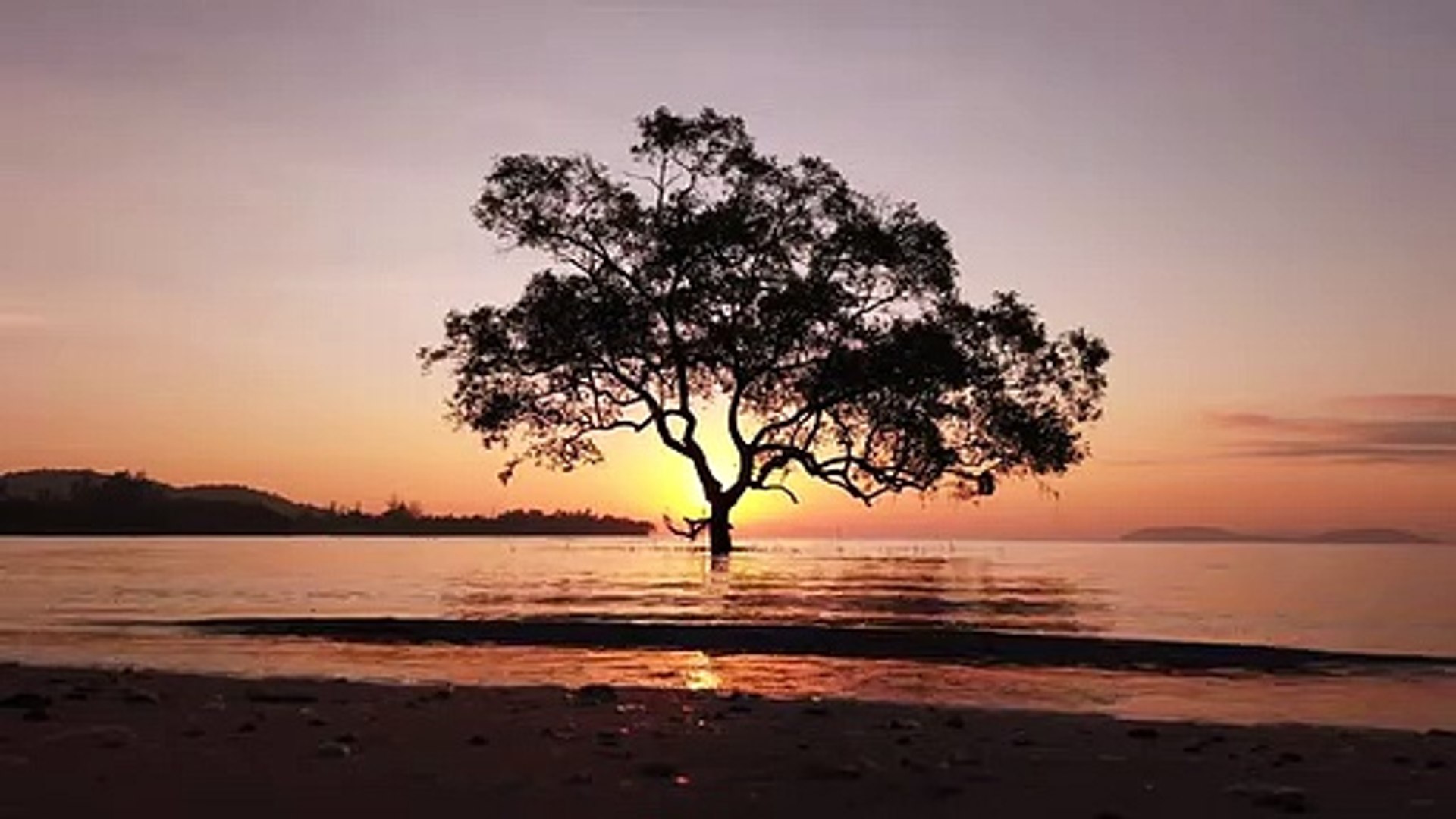 ⁣Nature. Landscape. Relaxing Music with Nature sounds(360P)