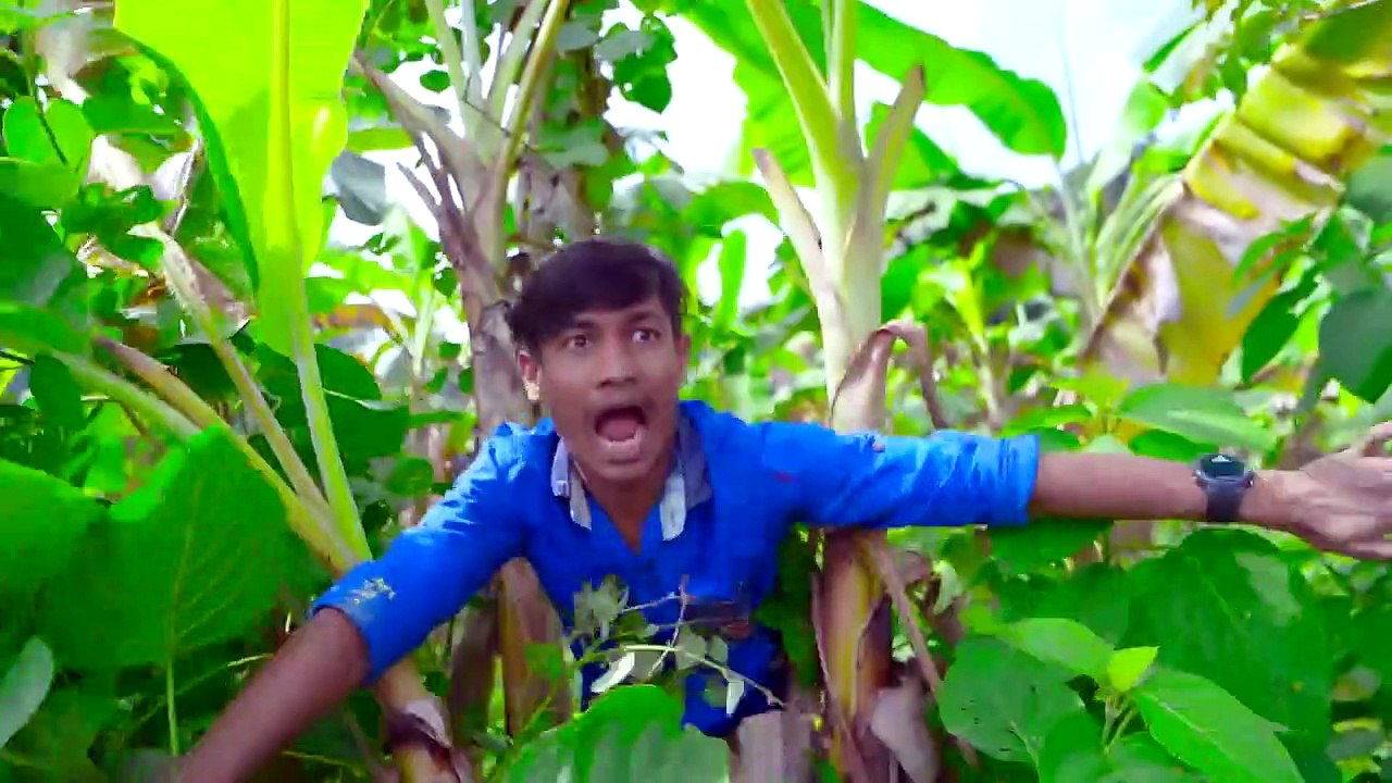 Top New Funniest Comedy Video  Most Watch Viral Funny Video 2022 episode 2