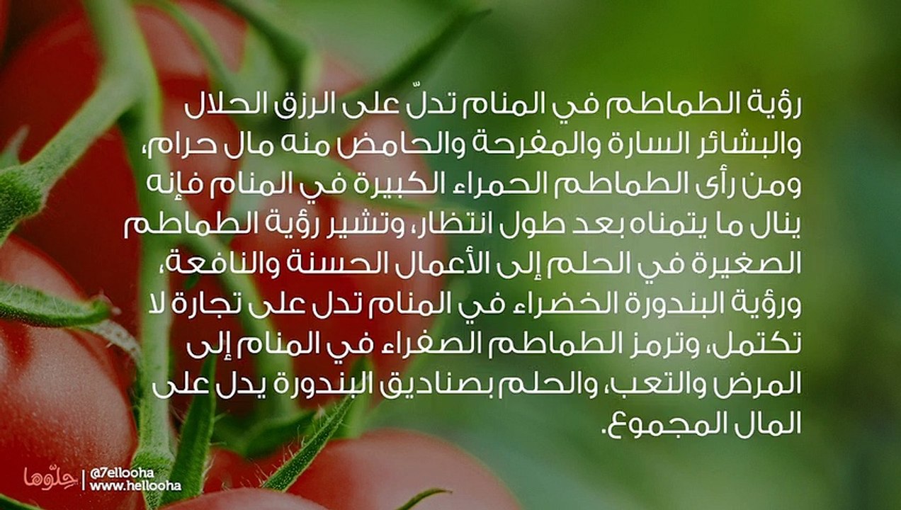 تفسير رؤية الطماطم في المنام وحلم أكل البندورة