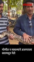 शेतात आढळला अजगर, सर्पमित्रांनी सोडले जंगलात