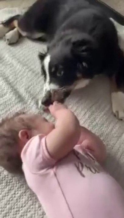 Aussie pup and baby share a very special bond