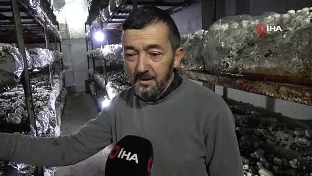Köye üretim üssü kurdu, şehrin mantar ihtiyacını karşılıyor