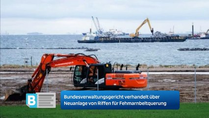 Bundesverwaltungsgericht verhandelt über Neuanlage von Riffen für Fehmarnbeltquerung