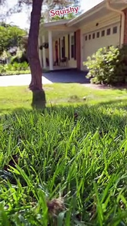 Fill the cheeks squishy, fill the cheeks