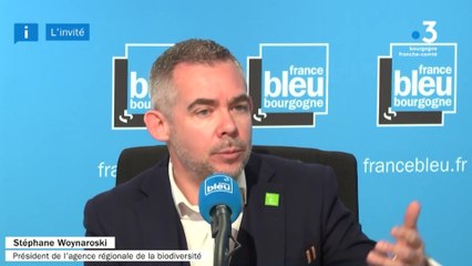 Cop 15 sur la biodiversité : Stéphane Woynaroski, président de l'agence régionale pour la biodiversité