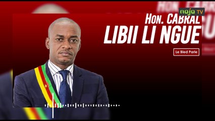 Assemblée nationale : Cabral Libii crache le feu