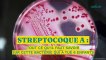Streptocoque A : tout ce qu'il faut savoir sur cette bactérie qui a tué 6 enfants