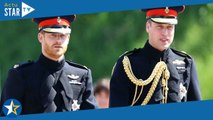 Harry et William : malgré les tensions, ils s'unissent pour une bien triste raison