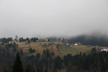 Trabzon'un "Hıdırnebi Yaylası" sis altındaki güzelliğiyle ziyaretçilerini karşılıyor