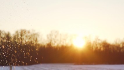 Wird der Winter besonders warm oder viel zu kalt?