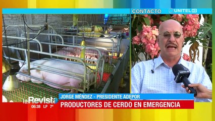 Adepor garantiza abastecimiento de carne de cerdo para fin de año