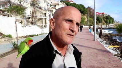 Papağan Lara, hayat arkadaşı oldu! Binlerce lira teklif edildi reddetti