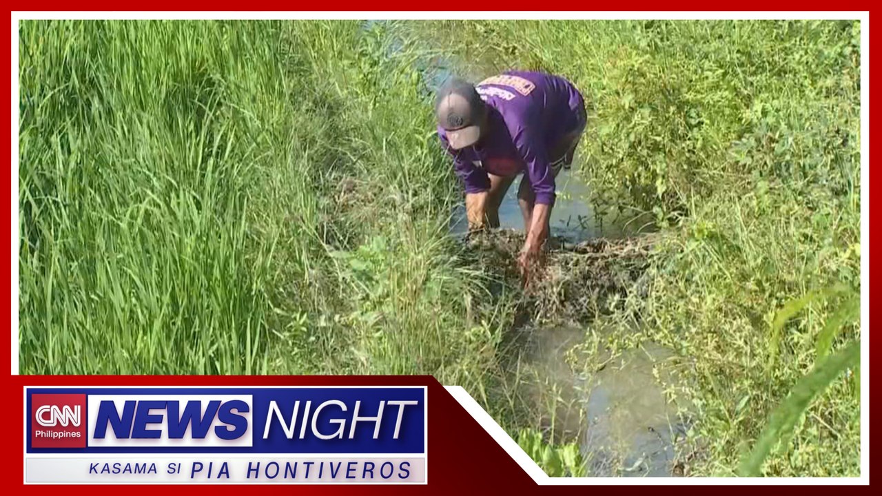 World Bank: Agricultural policy ng gobyerno, kulang pa