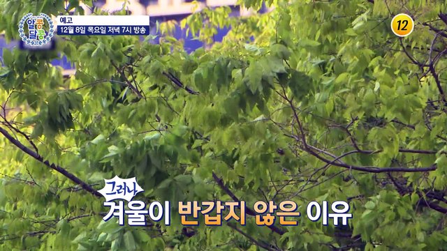 내 몸의 이상 신호를 알아채는 방법!_알콩달콩 162회 예고 TV CHOSUN 221208 방송