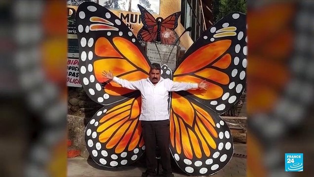 Biodiversity: Migratory monarch butterflies list as endangered species