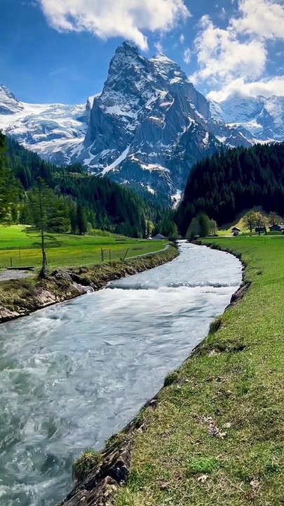 Scenic Relaxation - The Healing Power Of Nature Sounds - Forest Sounds # short #  3