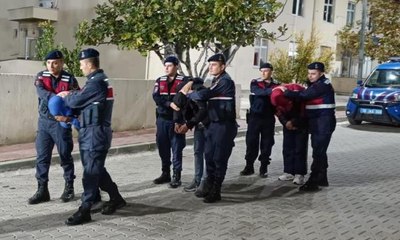 Balıkesir'de zeytin hırsızlığı yapan 18 şüpheli tutuklandı