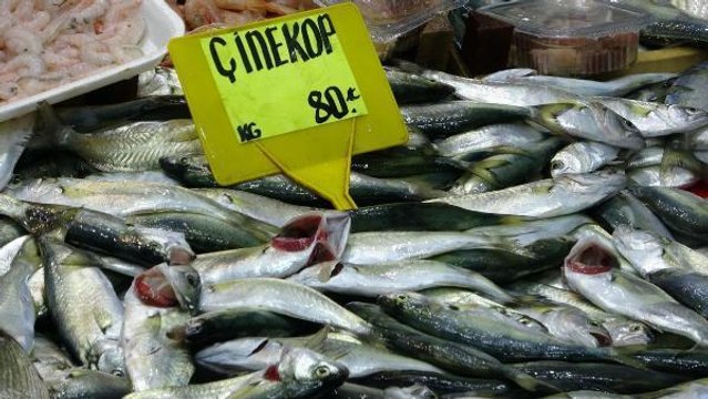 ÇANAKKALE'DE BALIK TEZGAHLARI BU KEZ ÇİNEKOPLA DOLDU