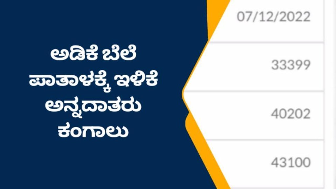 ದಾವಣಗೆರೆ: ಪಾತಾಳಕ್ಕೆ ಕುಸಿದ ಅಡಿಕೆ ಬೆಲೆ!