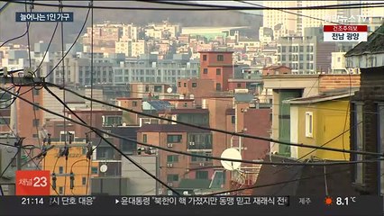 세 집 중 한 집은 '나홀로 가구'…2030이 37%