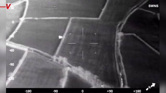 This Police Force Was Assisted by Cows