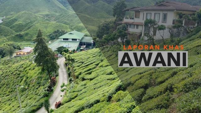 Pemanasan Global | Semakin panas, Cameron Highlands diancam perubahan iklim?