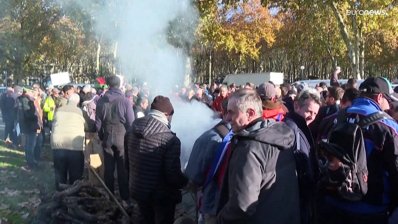 Winzer in Bordeaux fordern Prämie für Stilllegen von Weinbergen