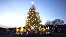 إضاءة شجرة الميلاد في العاصمة الأمريكية واشنطن