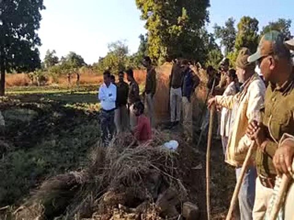 तीन सौ बीघा वन भूमि से हटाया अतिक्रमण