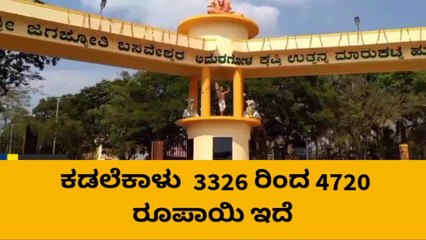 ಹುಬ್ಬಳ್ಳಿ:ಮಾರುಕಟ್ಟೆಯಲ್ಲಿ ಹೆಸರುಕಾಳು ದರದಲ್ಲಿ ಇಳಿಕೆ,ಹೀಗಿದೆ ಇಂದಿನ ಧಾರಣೆ