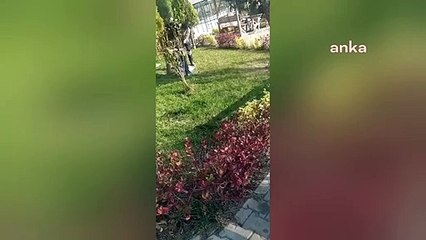 Yurt bahçesinde kediler çuvala kondu: Müdür ve çalışanlara soruşturma