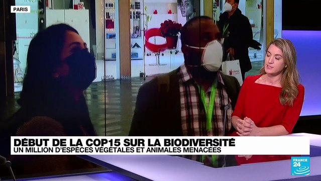 COP15 sur la biodiversité : un million d'espèces végétales et animales menacées
