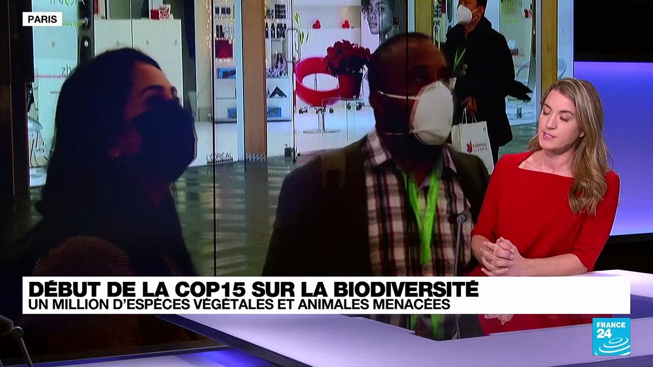 COP15 sur la biodiversité : un million d'espèces végétales et animales menacées