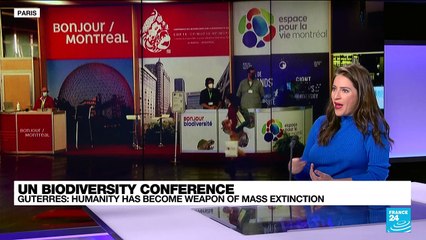 COP15 biodiversity summit : What to expect ?